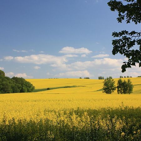 Fewo Am Geyersberg Oberschöna Esterno foto