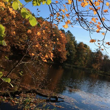 Fewo Am Geyersberg Oberschöna Esterno foto