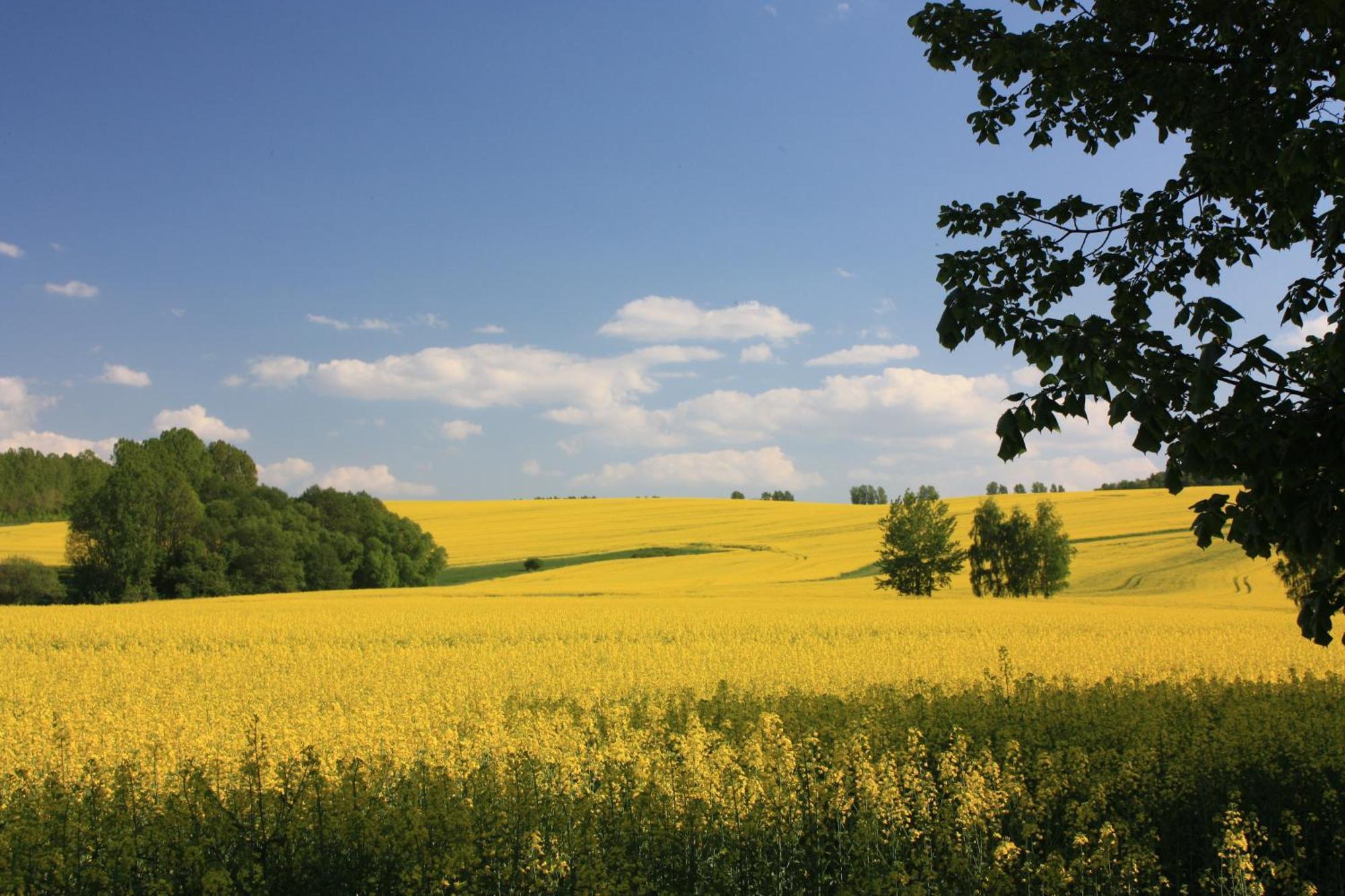 Fewo Am Geyersberg Oberschöna Esterno foto