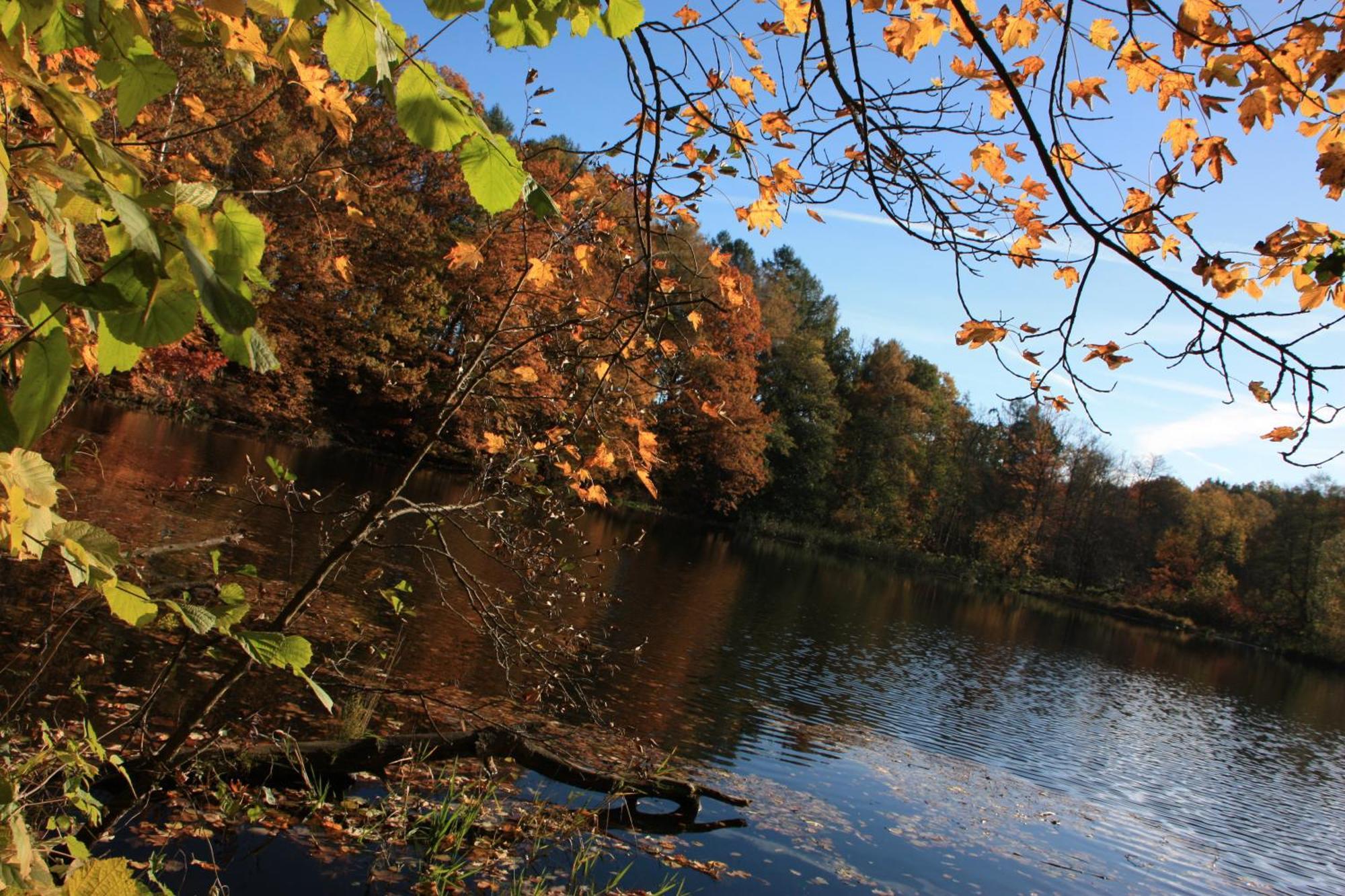Fewo Am Geyersberg Oberschöna Esterno foto